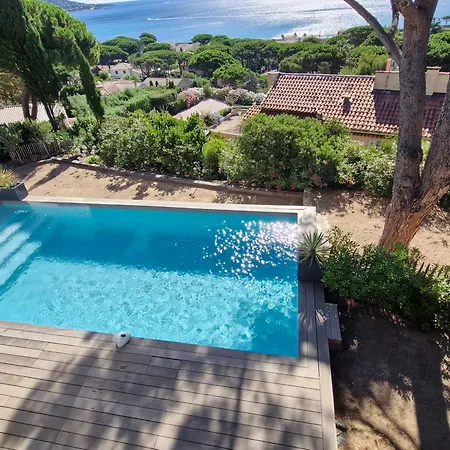 7 Pieces, Face A La Plage, Piscine Chauffee, 18 Pers, Sejour De Luxe - Fr-1-780-14